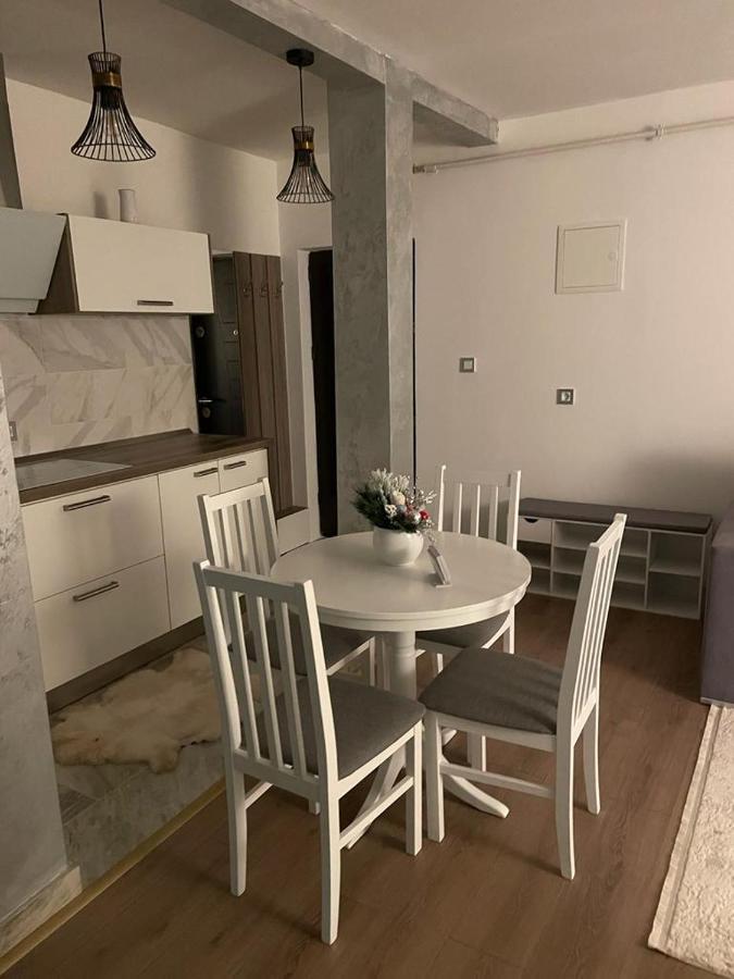 Sofia Loft Apartment Bistriţa Екстериор снимка