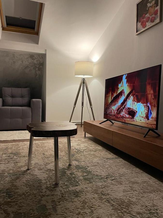 Sofia Loft Apartment Bistriţa Екстериор снимка